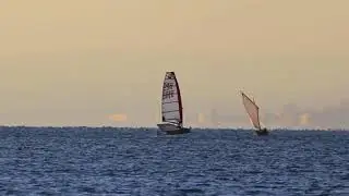 Foil avant le feu au lac