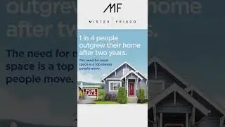 Explore the Latest: Mister Frisco Market Update
