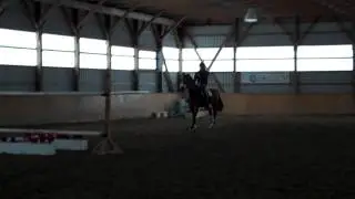 VID00009