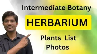 Herbarium Plants List and Plants Photos || Process