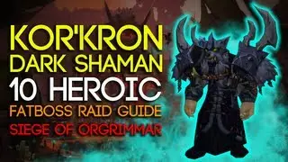 Kor'kron Dark Shaman 10 Man Heroic Siege of Orgrimmar Guide - FATBOSS