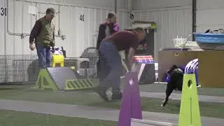 Alfalfa 1 02232020