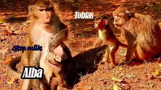 ANNA Stop Milk Baby ALBA more time | Tobais Pities Baby have Difficult when to get milk, So Pities
