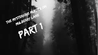 The Mysterious Murder on Mulberry Lane || Part 1 ||