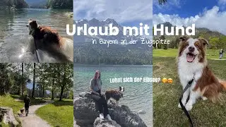Ist das DER SCH&Ouml;NSTE SEE in Deutschland? 😍 KURZTRIP mit Hund📍Vlog