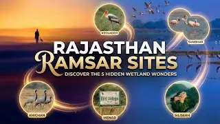 Keoladeo to Siliserh : Rajasthan's Ecological Giants