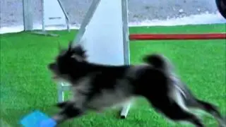 Agility in slow motion