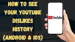 How To See Your YouTube Dislike History (2024 Guide - Android & iOS)