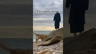 Четыре важных слова #психологияжизни #motivation #успех