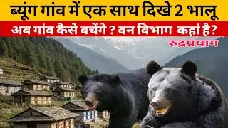 Rudraprayag के ब्यूंग गांव में एक साथ दिखे 2 भालू | गांव में दहशत, सवाल सिस्टम से । bear attack । 