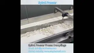IQF Spiral Freezer Frozen Dumplings