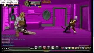 AQW Jay Sun Solo With Rogue Class