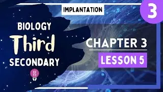 Biology 3rd Secondary Egypt - Chapter 3 - Lesson 5 - P3 (Implantation)