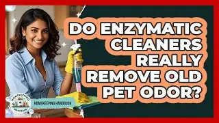 Do Enzymatic Cleaners Really Remove Old Pet Odor?