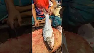 Amazing Cutting Skills | Big Rohu Fish Cutting By Expert Fish Cutter