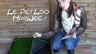 [TEST] Le PetLoo !