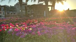 Lazuli Resort Marsa Alam, Egypt, December 2025