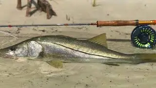 Flyfishing in Jupiter, Florida.