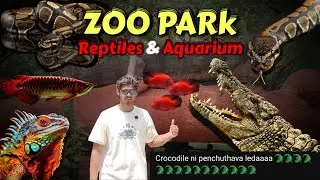 🐊Crocodile *Epic Vlog🤯* || Zoo Park - Reptiles🐍 & Aquarium🐡 #zoo #vlog #crocodile #trending #viral