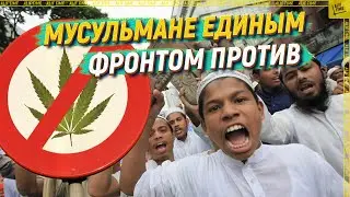 Мусульмане единым фронтом против [English subtitles]