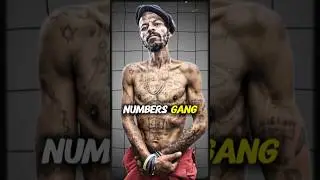 Numbers Gang &ndash; South Africa&rsquo;s Most Dangerous Prison Brotherhood | 26s, 27s & 28s Explained #gang