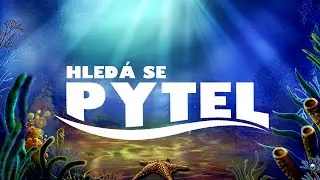 Hledá se Pytel (Maturitní video BiGy 8.A 2015)