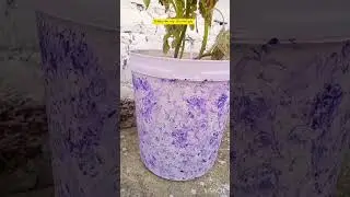 free me banaye gamla Ghar pr hi #art#craft#decoration#decor#decorating#ideas#idea#shortsvideo#home