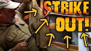 Спасение яиц змеи Strike Out: СТОИТ ЛИ СОХРАНЯТЬ 1 ЯЙЦО?