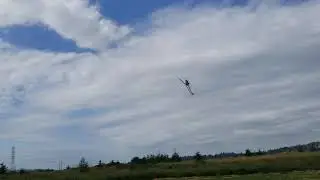 Ryan Evens flying his Thunder Tiger Raptor