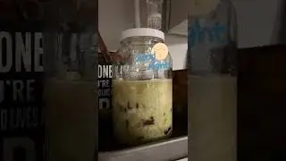 Ferment it like you meant it