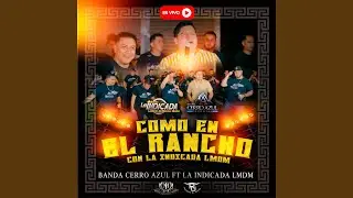 Lagrimas De Sangre (feat. Banda La Indicada La Mejor De Mazatlan Sinaloa)
