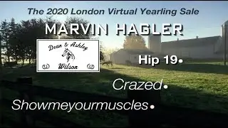 H019 Marvin Hagler LVYS 2020