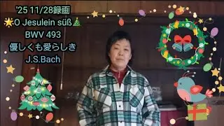 🌟O Jesulein süß🎄BWV 493優しくも愛らしきJ.S.Bach '25 11/28録画 🌟Merry X'mas🎄🌟