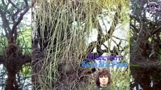 Burbling - Al Stewart | HD