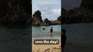 seas the day!