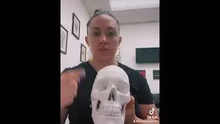 Освобождение тройничного нерва &mdash; избавьтесь от затылочной мигрени, головной боли и напряжения