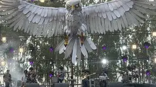 Easy Wanderlings live II Echoes of Earth Festival