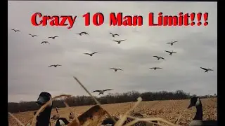 Minnesota Goose Hunting- snow storm traffic(Bonus Leg Band!)