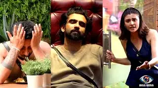 Bigg Boss 19 Live - Malti Will Give Warning To Amaal For Her Outside Meet