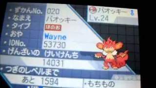 Unnoticed shiny yooterii in white!