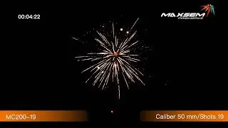 Maxsem Fireworks MC200-19 Great Show (1.75'' 19 shots) #fyp #feuerwerk #fireworks #Tonglefireworks