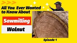 Sawmill Class in Session Part 1 - Walnut Log Strategies