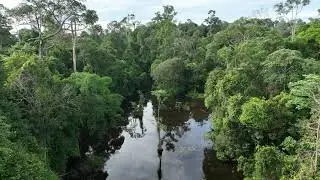 Drone view of a tropical rainforest in Sumatra