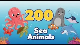 200 Sea Animal Sounds for Kids 🐳 | Whale, Orca, Seal | Learn Animals Fast