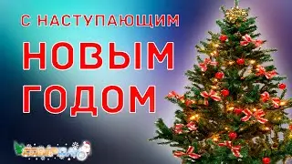 Поздравляем Вас с Новым Годом! #Compday