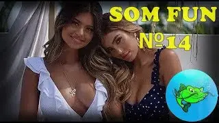 TOP COUB / ТОП КОУБЫ №14.Приколы. Som Fun