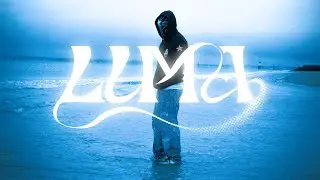 808NOCHE - Luma