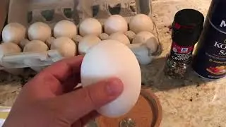 Cooking and eating a goose egg (1 of 4) (Minnesota) - $5 per egg on Craigslist