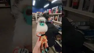 Unique and Weird Thrift Store Finds #thrift #thrifthaul #goodwill #haul #antique #thriftstorefinds
