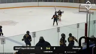 RSMT Squirt B2 Gold @ Hastings (2026.02.04)